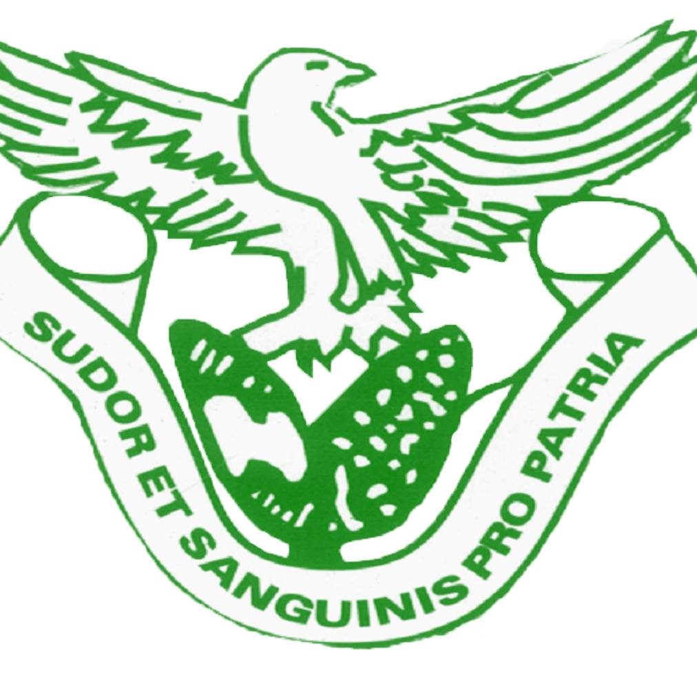 Zambia National Service